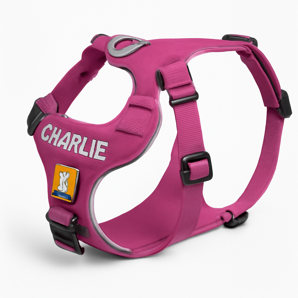 Ruffwear Front Range Harness with Embroidery