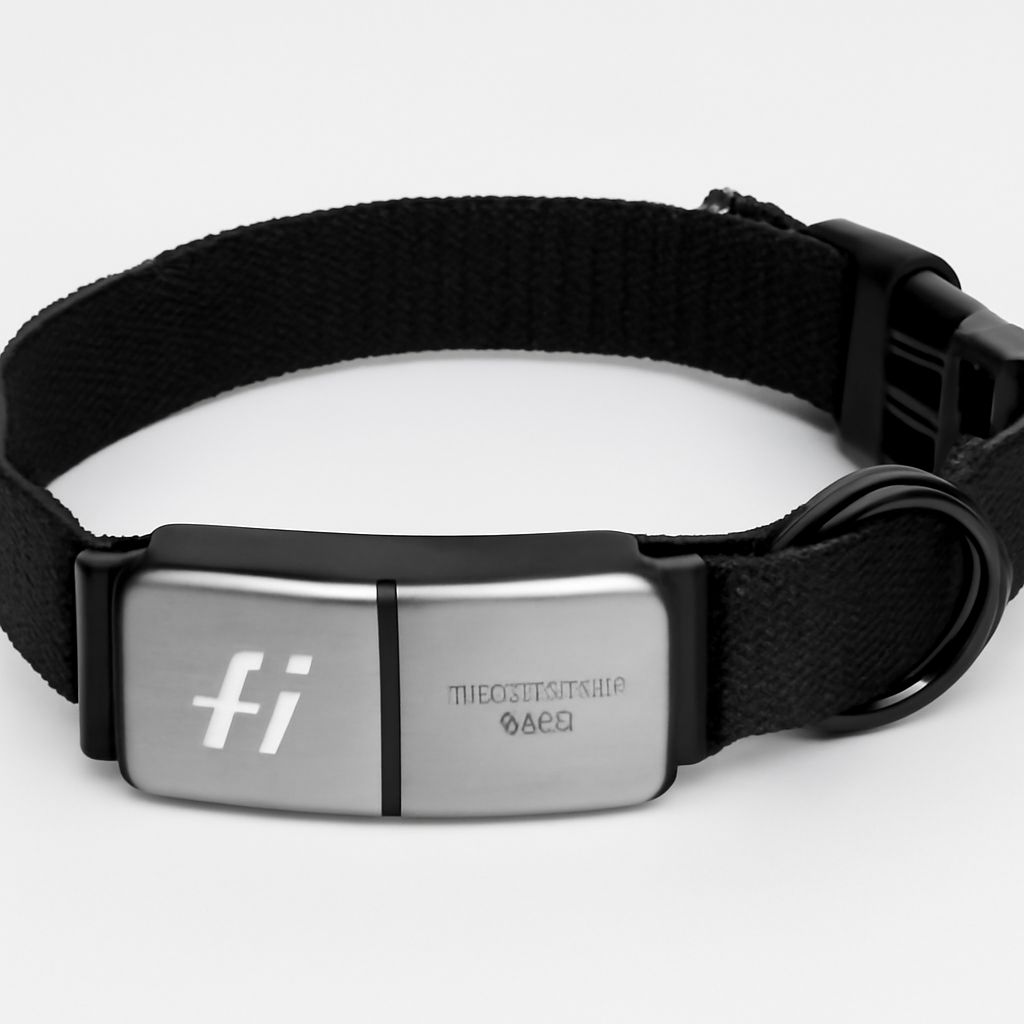 Fi Smart Collar Series 3