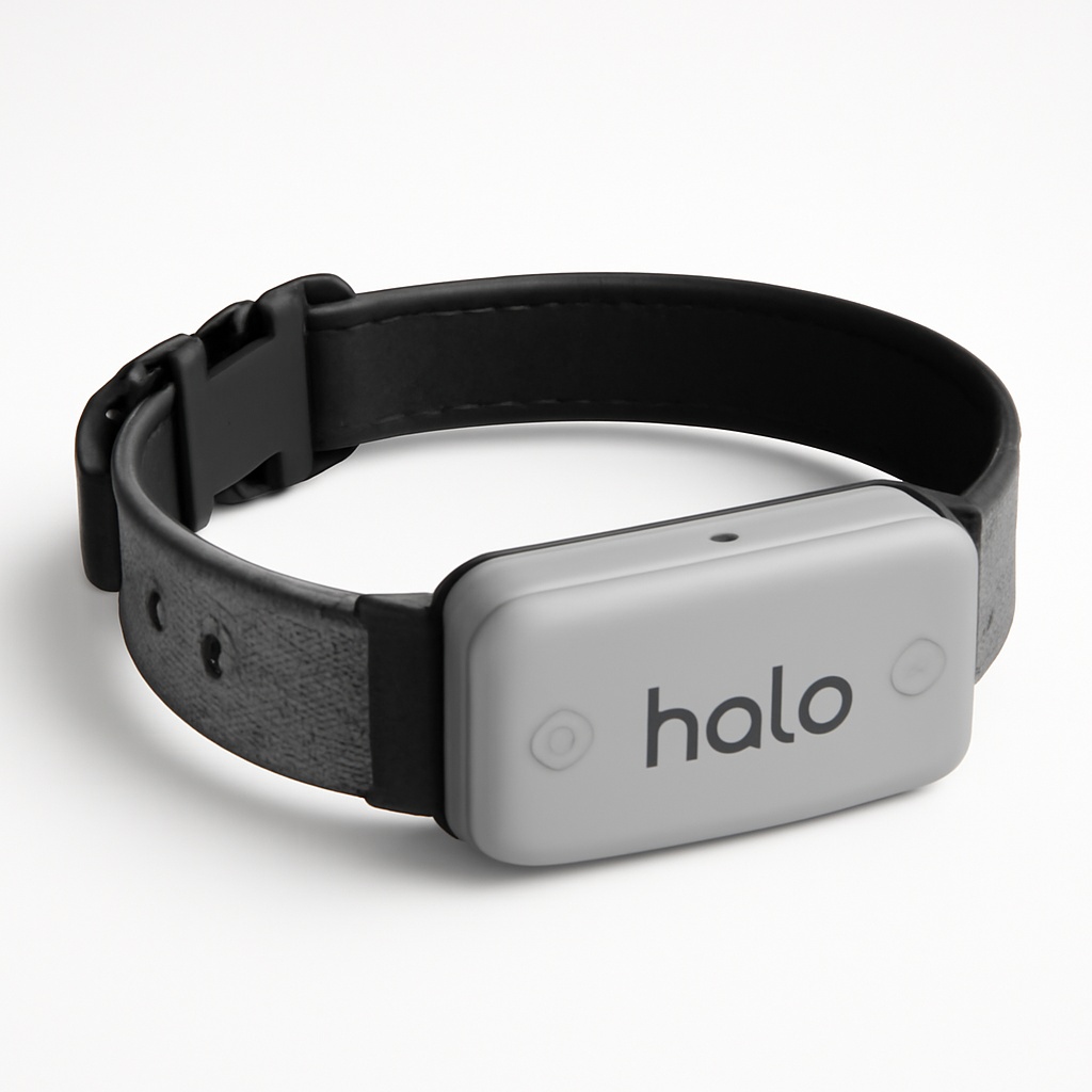 Halo Collar