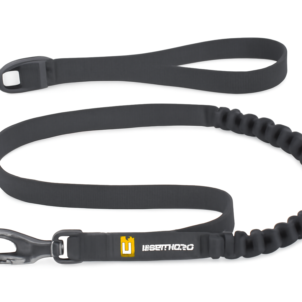 Ruffwear Roamer Leash